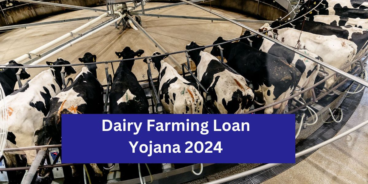 Dairy Farming Loan Yojana 2024